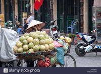 mature vietnamese porn comp wad mature vietnamese lady woman selling melons fruit from bicycle forums bizarre orgey pics
